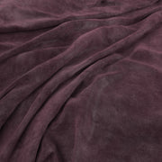 Aged Velvet Iris