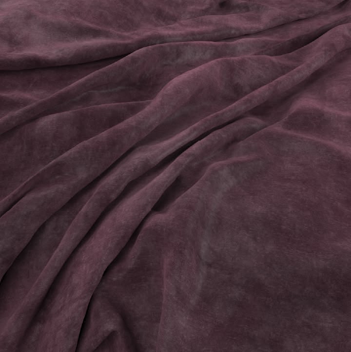 Aged Velvet Iris