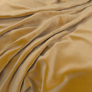 Vintage Velvet Sunbeam